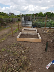 Allotment/Veg Patch Thread 9 - Spring is sprung, its getting really busy!