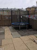 Find out how MNers are getting on with their Homebase Garden Goals challenge NOW CLOSED