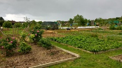 Allotment/Veg Patch Thread 9 - Spring is sprung, its getting really busy!