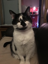 My beauty