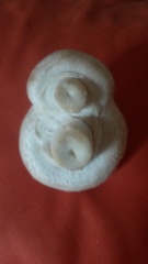 to want to share my double mushroom with you?