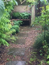 Small Garden - advice please pictures included.