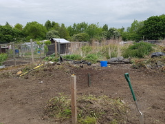 Allotment/Veg Patch Thread 9 - Spring is sprung, its getting really busy!