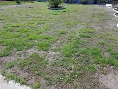 Help with a lawn!