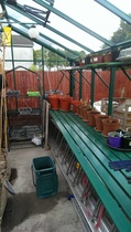 Allotment/Veg Patch Thread 9 - Spring is sprung, its getting really busy!