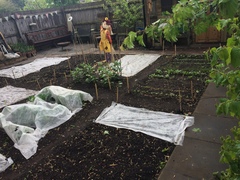 Allotment/Veg Patch Thread 9 - Spring is sprung, its getting really busy!
