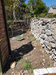 What would you do with this border (recent Leylandii removal!)