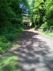 Photos taken on your cycle.