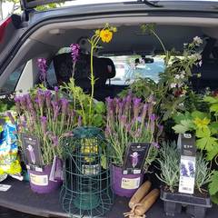 Find out how MNers are getting on with their Homebase Garden Goals challenge NOW CLOSED