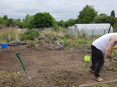 Allotment/Veg Patch Thread 9 - Spring is sprung, its getting really busy!