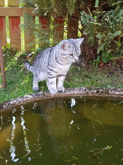 What's your DCat up to today? Pt 2