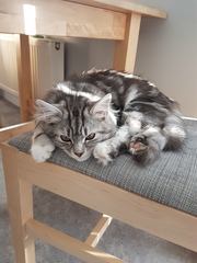 What's your DCat up to today? Pt 2