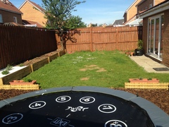 Find out how MNers are getting on with their Homebase Garden Goals challenge NOW CLOSED