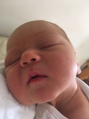 May 2017 #14 'A baby each day in the month of May?...'