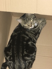 What's your DCat up to today? Pt 2