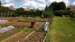 Allotment/Veg Patch Thread 9 - Spring is sprung, its getting really busy!