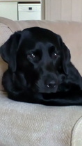 Some days they just melt your heart don't they?
