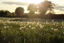 Photos taken on your cycle.