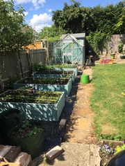 Find out how MNers are getting on with their Homebase Garden Goals challenge NOW CLOSED