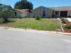 Help with a lawn!