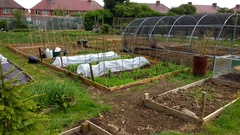 Allotment/Veg Patch Thread 9 - Spring is sprung, its getting really busy!