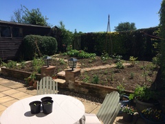Allotment/Veg Patch Thread 9 - Spring is sprung, its getting really busy!