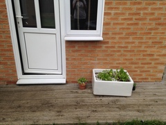 Find out how MNers are getting on with their Homebase Garden Goals challenge NOW CLOSED