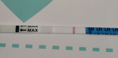 PCOS support thread