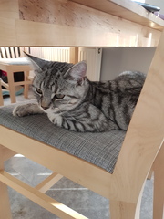 What's your DCat up to today? Pt 2