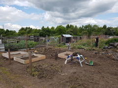 Allotment/Veg Patch Thread 9 - Spring is sprung, its getting really busy!