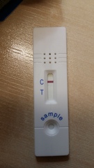 Just not sure if this is bfp