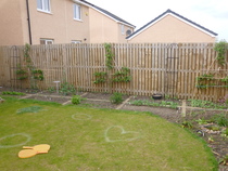 Allotment/Veg Patch Thread 9 - Spring is sprung, its getting really busy!
