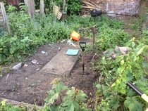 Find out how MNers are getting on with their Homebase Garden Goals challenge NOW CLOSED