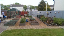 Allotment/Veg Patch Thread 9 - Spring is sprung, its getting really busy!