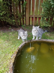 What's your DCat up to today? Pt 2