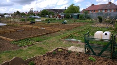 Allotment/Veg Patch Thread 9 - Spring is sprung, its getting really busy!