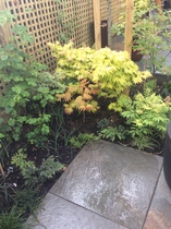 The Landscapers are here, it is better than the arrival of Santa