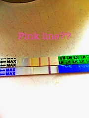 Can anyone else see the pink line?