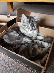 What's your DCat up to today? Pt 2