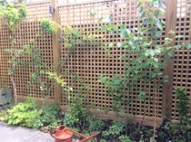 The Landscapers are here, it is better than the arrival of Santa