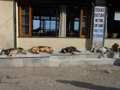 Biggest cultural shock you have come across?