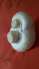 to want to share my double mushroom with you?