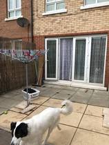 Find out how MNers are getting on with their Homebase Garden Goals challenge NOW CLOSED