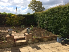 Allotment/Veg Patch Thread 9 - Spring is sprung, its getting really busy!