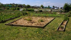 Allotment/Veg Patch Thread 9 - Spring is sprung, its getting really busy!