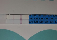 Is this a posit I've OPk?