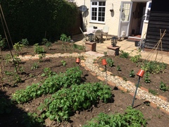 Allotment/Veg Patch Thread 9 - Spring is sprung, its getting really busy!