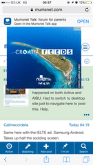 Enormous ad on mobile site