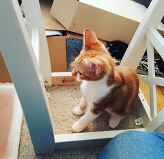 What's your DCat up to today? Pt 2