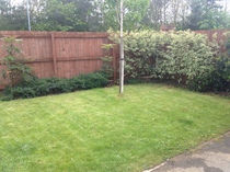 FROnt garden help, please!